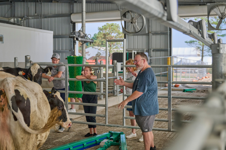 Guests on a tour at the MSU Dairy Cattle Teaching and Research Center.